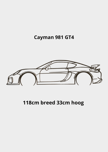 Cayman 981 GT4